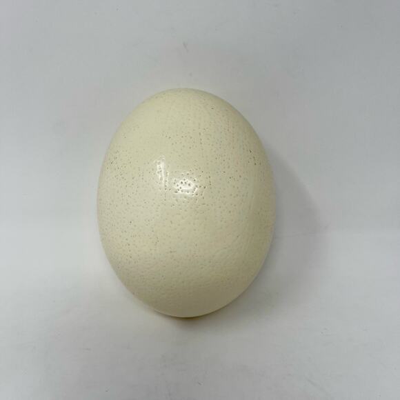 Hand Painted Candles Pinecone Greenery on Full Ostrich Egg by Nebraska‎ Artist - Picture 3 of 6